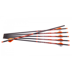 Ravin .001 Premium Arrows 400gr 6pk Ravin .001 Premium Arrows 400gr 6pk