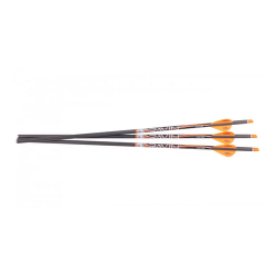 Ravin .003 Match-Grade Lighted Arrows 400gr 3pk Ravin .003 Match-Grade Lighted Arrows 400gr 3pk