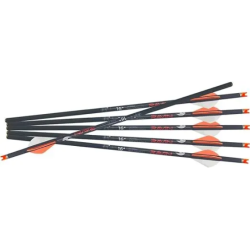 Ravin R18 Arrows .003 350gr 6pk Ravin R18 Arrows .003 350gr 6pk