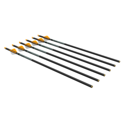 Ravin R500 Carbon Arrows .003 6pk Ravin R500 Carbon Arrows .003 6pk